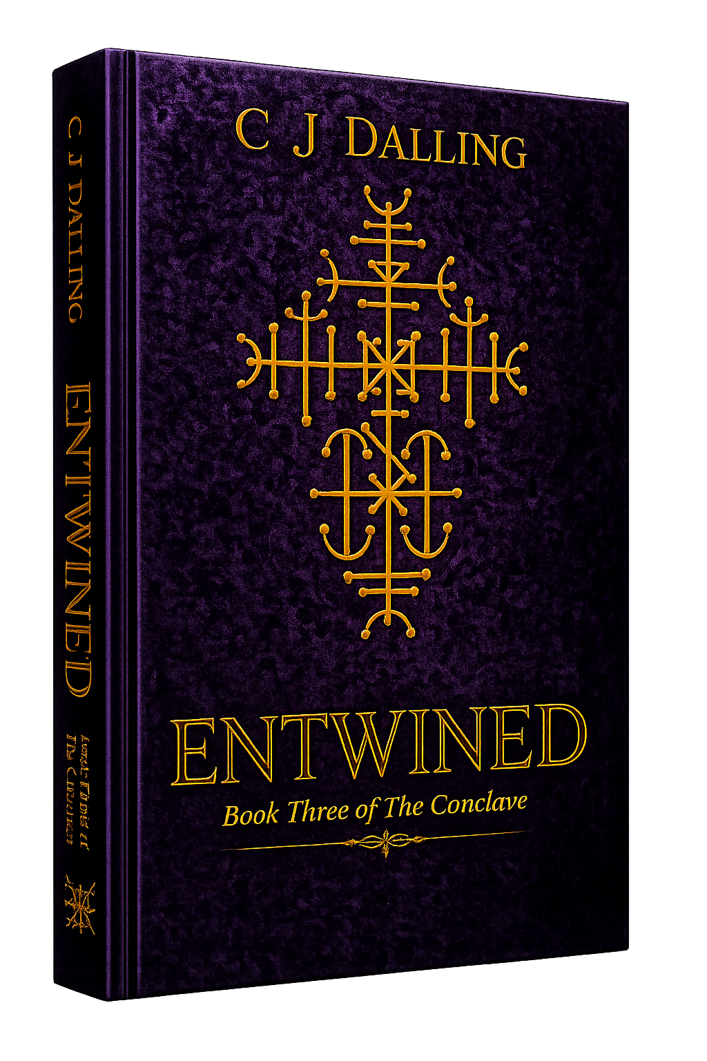 Entwined by C J Dalling book cover
