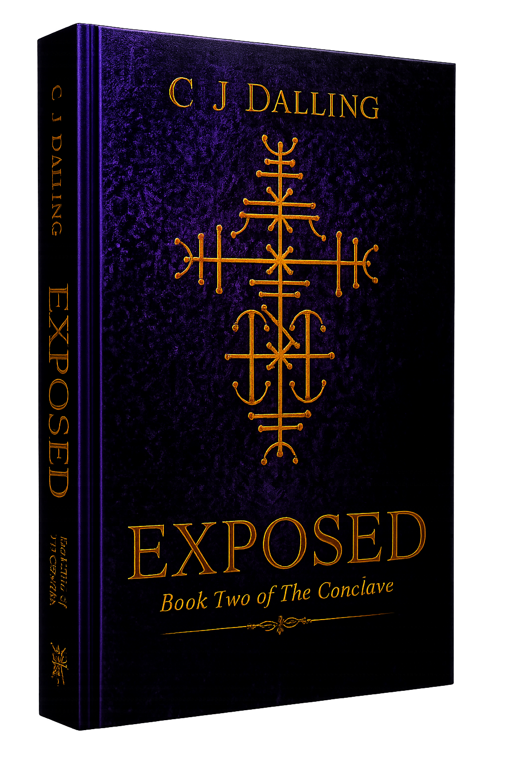 Exposed by C J Dalling book cover